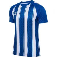 Hummel Functioneel shirt 'Match' groen / donkergroen / wit
