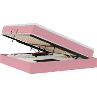 vidaXL Opbergbed met matras met opslag Roze 160 x 200 cm Fluweel