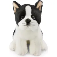 Nici Hond Boston Terriër Teddy 20 Cm