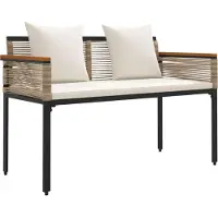 vidaXL Bank voor buiten, 2-persoons, 117 x 54 x 74,5 cm, polyrotan