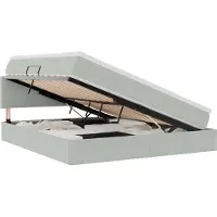 vidaXL Opbergbed met hoofdeinde Lichtgrijs 180 x 200 cm Fluweel