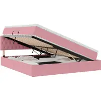 vidaXL Opbergbed met hoofdeinde Roze 180 x 200 cm Fluweel