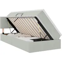 vidaXL Opbergbed met hoofdeinde Lichtgrijs 100 x 200 cm Fluweel