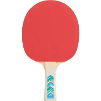 PRO TOUCH - pro 3000 - Tafeltennis bat - Zwart
