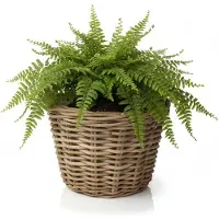 Van der leeden VD Leeden Plantenmand Klassiek - rond - bruin - 35 x 25 cm - rotan - gevlochten riet - bloempot