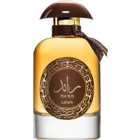 Lattafa Raed Oud, uniseks, 100 ml, vloeiparfum, aromatisch, muskus, houtachtig, oud