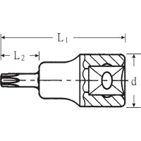 Stahlwille 49 TX T 40 02100040 3/8 (10 mm) Schroevendraaierdop T 40 3/8 (10 mm)