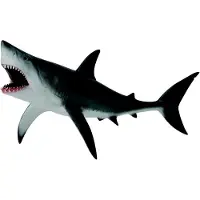 Collecta Figurine - Witte Haai - (Xl) - Zeedieren - Handgeschilderd - Miniatuur