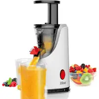 Zilan - Slowjuicer - RVS - 200 Watt - Makkelijk schoon te maken