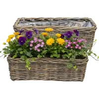 Van der leeden VD Leeden Plantenmand Klassiek - 2x - bruin - rechthoek - 60 x 23 x 20 cm - rotan - gevlochten riet