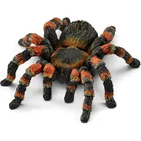 Schleich WILD LIFE - Vogelspin - 14829