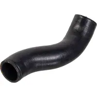 FEBI BILSTEIN 181747 Laadluchtslang