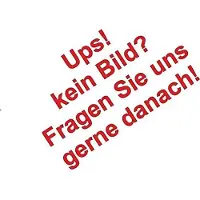 JP GROUP 1181205000 Gasveer achterklep
