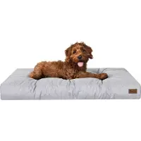 Stanis³aw Jurga Waterdicht Hondenkussen L 90x70cm - Comfortabel en duurzaam