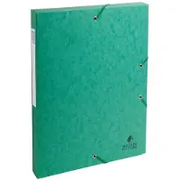 Exacompta Archiefdoos 50303E Groen Glanzend karton 25 x 33 cm 8 Stuks