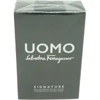 Salvatore Ferragamo Uomo Signature Eau De Parfum 100 ml