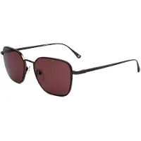 WEB EYEWEAR WE0355 Matte dark brown 53/17/145 MAN Zonnebrillen