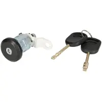 BLIC 6010-03-026427P Deurslot