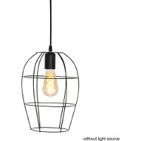 Steinhauer Draadlamp Minimalics