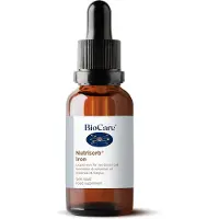 BioCare Nutrisorb ijzer 15 ml