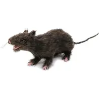 Europalms - Halloween - Decoratie - Versiering - Accesoires - Rat lifelike with coat 30cm
