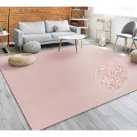 Paco Home Vloerkleed Woonkamer Effen Eenvoudig En Modern Laagpolig, Versch. Afmetingen Kleuren 280x380 cm