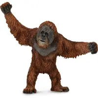 Collecta Figurine - Orang-Oetang - (L) - Wilde Dieren - Handgeschilderd - Miniatuur