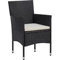 vidaXL Tuinstoelen 2 st poly rattan zwart