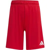 Adidas Sportbroek 'Entrada26' bloedrood / wit