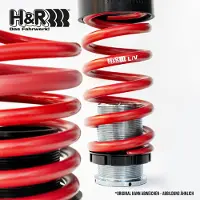 H&R 23030-1 Verenset