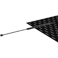 RIDEX 219G1630 Gasveer achterklep