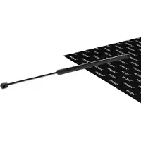 RIDEX 219G1503 Gasveer achterklep