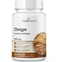 VitaSanum - Chaga (Inonotus obliquus) 60 St