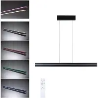 Paulmann 78474 Hanglamp LED LED vast ingebouwd 19 W Zwart