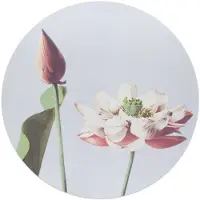 Reinders - Elegante Bloem - Glasschilderij Ø 50 cm - Roze