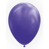 Wefiesta Paarse ballonnen | 25 stuks