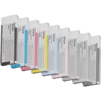 Epson C13T606940 Inktcartridge Licht licht-zwart