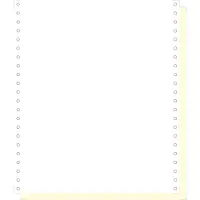 Exacompta Computer-kettingpapier Speciaal Geperforeerd 70 g/m² Geel, wit 1000 Vellen