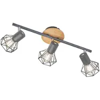 FISCHER&HONSEL GMBH 3-lichts plafondlamp Ran zwart