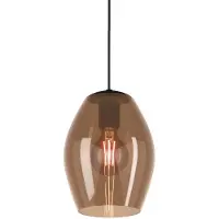 Eglo Hanglamp Estanys 1-lichts