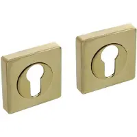 Intersteel cilinderrozetten vierkant verdekt 55x55x10mm met nokken - messing PVD