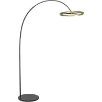 Eglo Design vloerlamp Brest zwart met goud