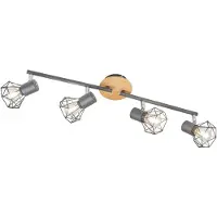 FISCHER&HONSEL GMBH 4-lichts plafondlamp Ran zwart