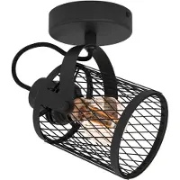 Eglo Plafondlamp Dellow 1 zwart enkel