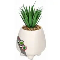 Kadax Keramische vetplanten, kleine kunstplant, decoratieve plant voor woonkamer, kantoor, hoogte 22 cm, wit