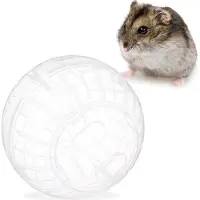 Relaxdays hamsterbal doorzichtig - knaagdierspeelgoed - loopbal kunststof - muisbal - 14cm