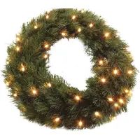 Edelman Kerstkrans | | Forest Frosted | Ø 60 cm