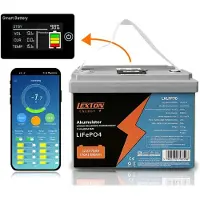Lamex LiFePo4 - lithium accu - Gel baterij - met BMS - 12,8V, 70Ah, LXLFP70