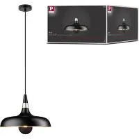 Paulmann 78481 Hanglamp E27 Zwart (mat), Champagne