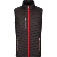 Regatta - "Navigate Hybrid" herenvest FK2549 (maat S) (zwart/rood)